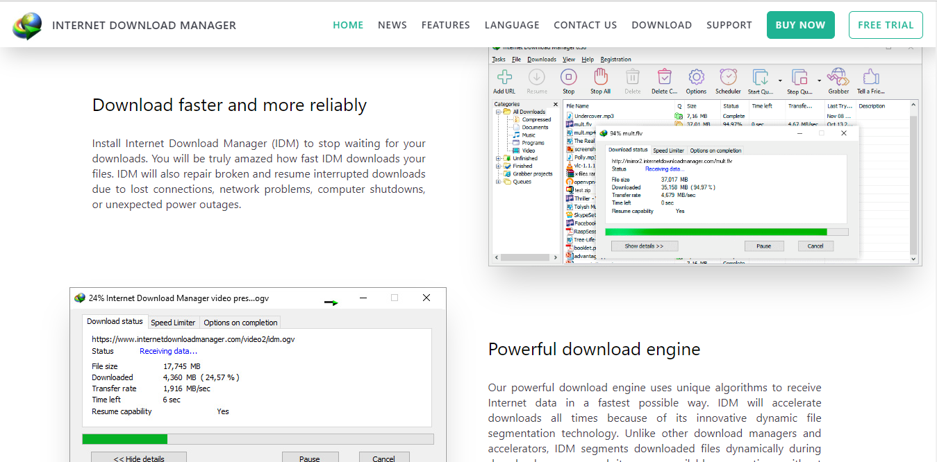 Internet Download Manager